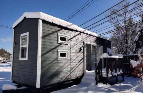 Narusawa Appartement | 富士山下Trailer House-B