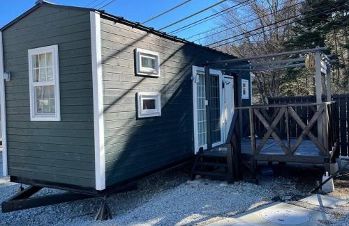 Narusawa Appartement | 富士山下Trailer House-B