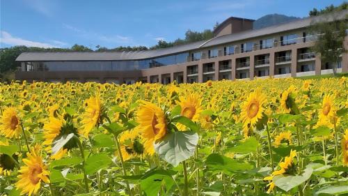 Furano Hôtel | 富良野ホテル Furano Hotel