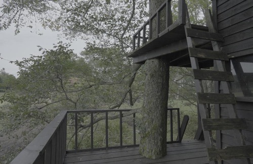 Shibetsu Maison | 小さな森の貸し切り宿Forest-House-Ranapirica