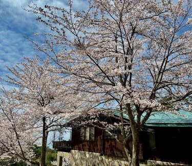 Shodoshima Maison | 小豆島プライベートキャンプサイト