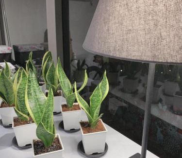 Xitun District Appartement | 日出逢甲