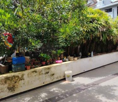 Gua Appartement | 明国民宿