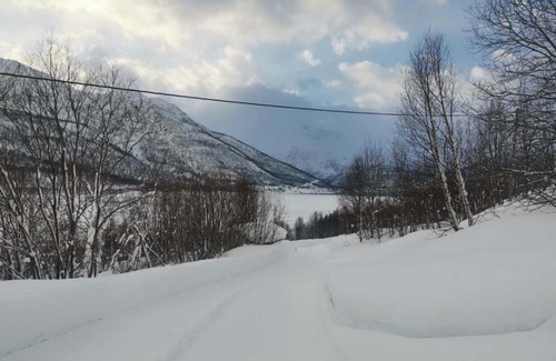 Balsfjord Cabine | 极光民宿Northern Lights