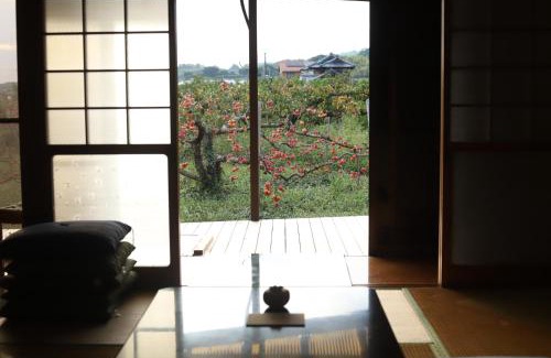 Katsuragi Maison | 柿畑の宿 guesthouse next to the persimmon orchard