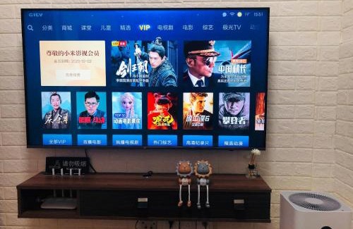 Luohu Appartement | 笋岗 两房一厅一厨精装公寓