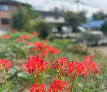 Kameoka Maison | 縁側ハウス