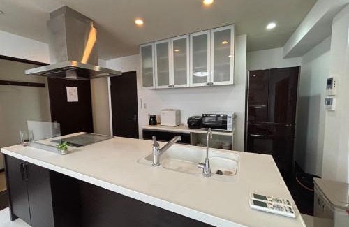 Nagawa Appartement | 褚之屋一号