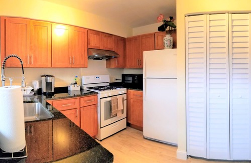 Chinatown Copropriété | 1 #33 - 4 Bedroom / 2 Bath Condo near McCormick Place, Wintrust Arena, Chinatown