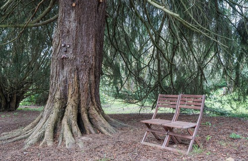 Carluke Cottage | Cozy Carluke Lodge Retreat