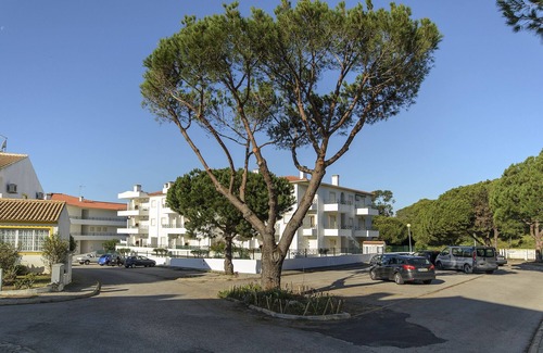 Vale de Carro Appartement | Appartement 1 chambre à 800 mètres de la plage