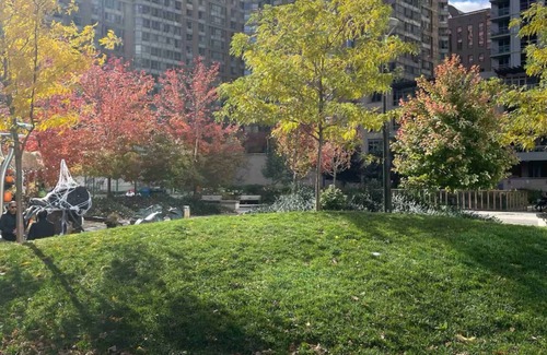 Church and Wellesley Appartement | 1 Bedroom Close to TMU and Eaton Center