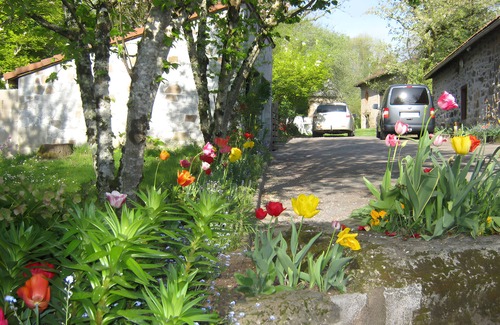 Panazol Appartement | 1-Bedroom Gîte - Gîtes Coubras