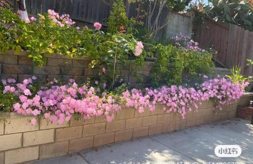 Rowland Heights Maison | 1 bedroom in a quiet neighborhood near the main street - Room C