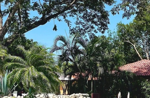 Potrero Maison | Updated Tiny House Just Minutes to Famous Flamingo Beach