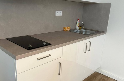 Petrska ctvrt Appartement | Appartement 1 chambre à Prague 1
