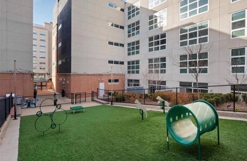 Central West End Appartement | 1 BR Loft Near Central West End, Walk to BJC