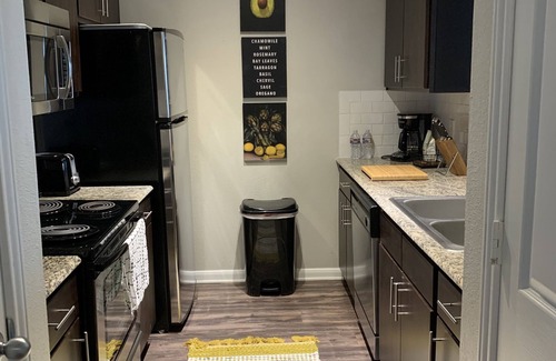Riverside Terrace Appartement | 1 BR @ Med Center with Hermann Park View