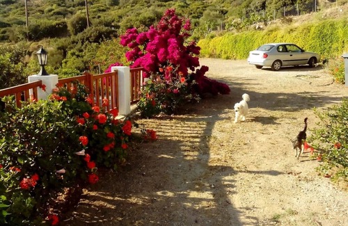 Ikaria Appartement | # 1 chambres Drakano pour les amoureux de la nature