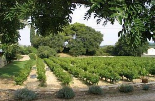 Laudun Maison | 1: Maison 'Olivier', Domaine des Charmettes