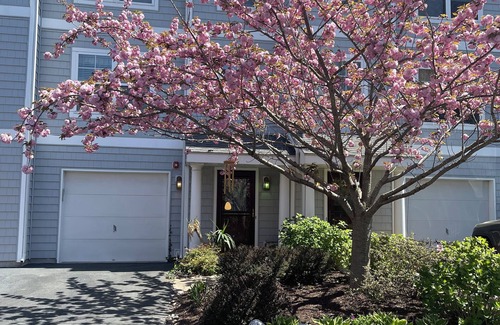 Country Club Estates Copropriété | 1 Private Queen Bed / Bath in condo in charming Rehoboth Beach with WiFi, AC
