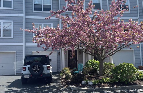 Country Club Estates Copropriété | 1 Private Queen Bed / Bath in condo in charming Rehoboth Beach with WiFi, AC
