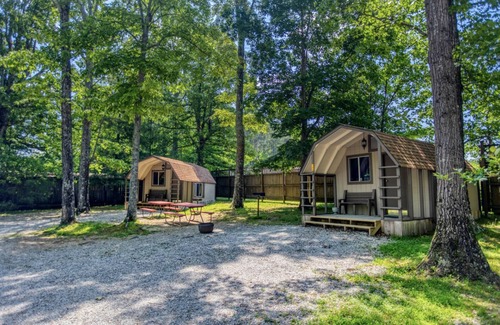 Manchester Cabine | 1 Room Camping Cabin - Enjoy a cabin with air conditioning and real beds!