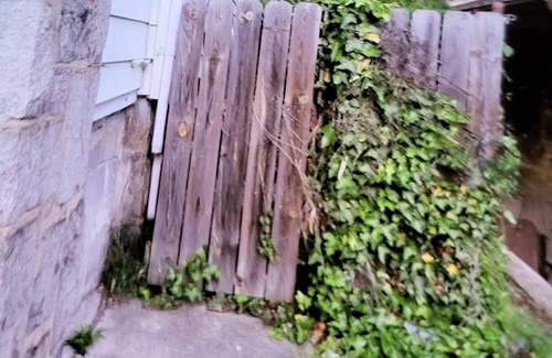Brookland Maison | 1 Stop/1 Shop! Large D.C. house-pet friendly/big backyard & parking/near metro