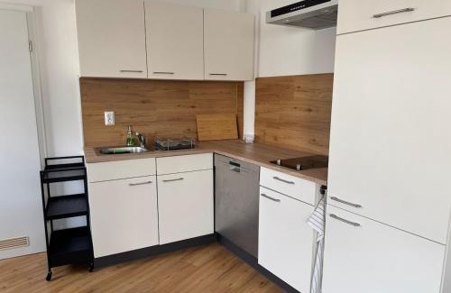 Erlangen Appartement | 1-Zimmer Apartment, Zentraler Lage
