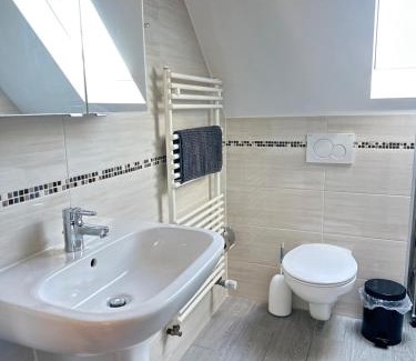 Oedheim Appartement | 1 Zimmer Wohnung DG mit Klimaanlage und kleinen Balkon
