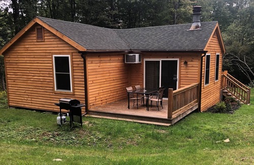 Laurens Cabine | 10 MINS to ASV, 20-25 MINS to CDP. Newly Renovated 2021/borders State Park