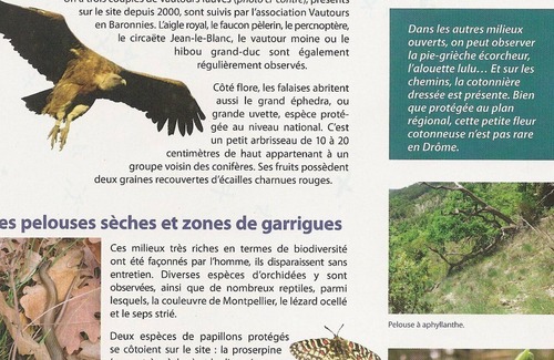 Les Latards Cottage | A 10 mn de Nyons, Joli Gîte "3 étoiles", piscine exclusive, site naturel classé