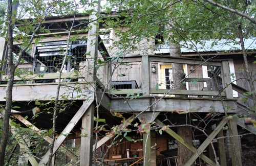 Pocahontas Maison | 11 Point River Front Cabin, 7 acres, hiking trails, with a private beach!