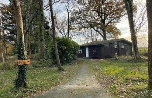 Cenarth Cabine | 11 Tan-y-coed Woodland Lodge