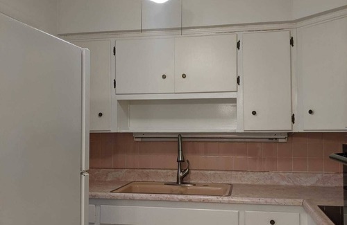 Dunedin Appartement | 1156 Angle Rd - One-Year Lease