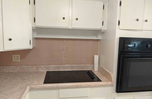 Dunedin Appartement | 1156 Angle Rd - One-Year Lease