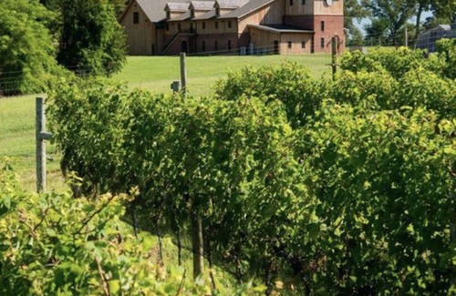 Chesapeake City Maison | 12 Bedroom Waterfront Historic 1920 Mansion! Pool, hot tub and 400 acres!