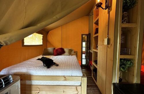 Johnson City Autre | 12 Fires Luxury Glamping #5