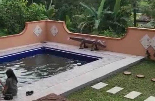 Gunung Bunder I Hôtel | 12 m² Hôtel ∙ 2 personnes