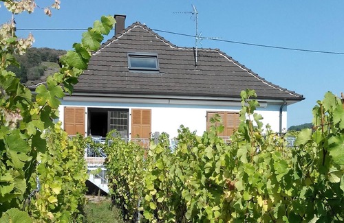 Kientzheim Cottage | Maison 12 personnes - Gite du WEINBAECHLE