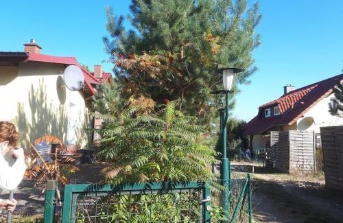 Adamswalde Maison | 12 Rheinsberg OT Großzerlang am See