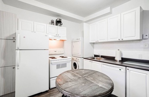 De Lorimier Appartement | #131 - Lovely Open Concept unit in Plateau Mont-Royal
