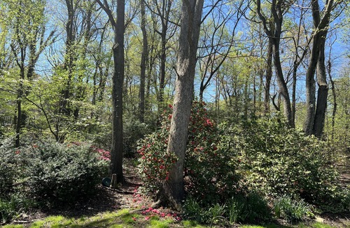 Lanham Maison | 14 minutes to University of Maryland, Close to Washington DC/Tyson's Corner
