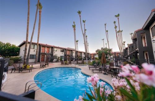 South Scottsdale Appartement | 145 Fully Furnished 1BR Suite-Pet Friendly