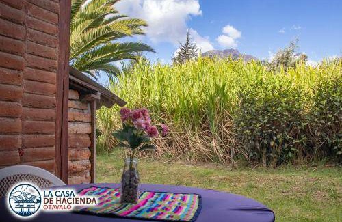 Miguel Egas Cabezas Appartement | 15 m² Appartement ∙ 5 personnes