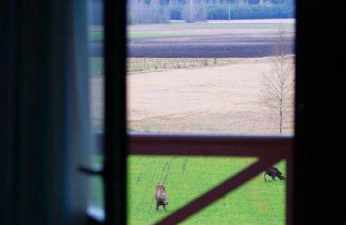 Goniadz Cabine | 15 m² Chalet ∙ 2 personnes