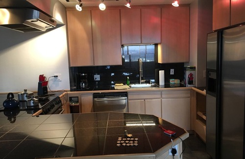Downtown Denver Copropriété | 15th floor condo w/ spectacular mountain view, spacious, safe, immaculate