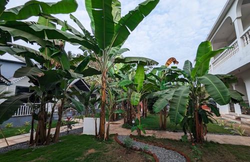 Arambol Hôtel | 16 m² Hôtel ∙ 4 personnes