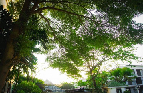 Rangsit Appartement | 17 m² Appartement ∙ 2 personnes