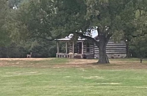 Montgomery Cabine | 1800’s style log cabin with modern amenities